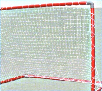 Play-Hok Goal 1m x 0.6m